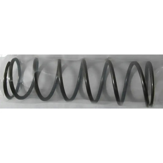 SPRING, CYLINDER